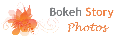 Bokeh Story Photos - 